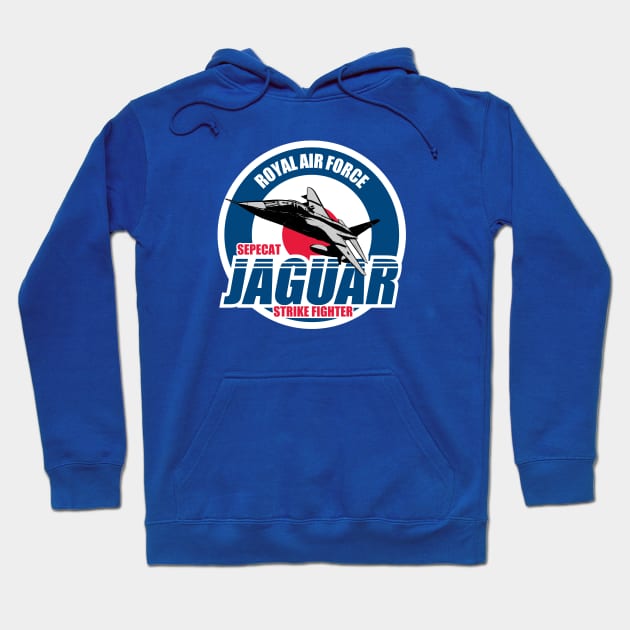 Royal Air Force Jaguar Hoodie by TCP